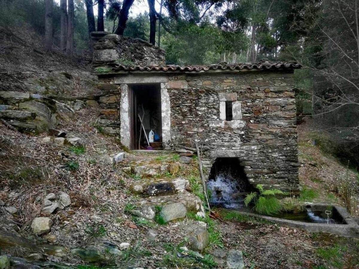 Viana Do Castelo - Amonde Village Casa P - Conforto Qualidade Natureza Luaran gambar